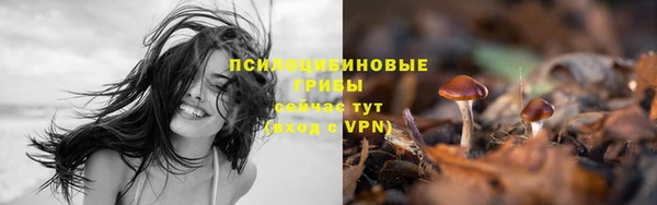 герыч Абдулино