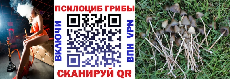 mega маркетплейс Отрадный Галлюциногенные грибы MAGIC MUSHROOMS купить наркоту